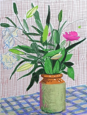 David Hockney - Untitled iPad Drawing 516