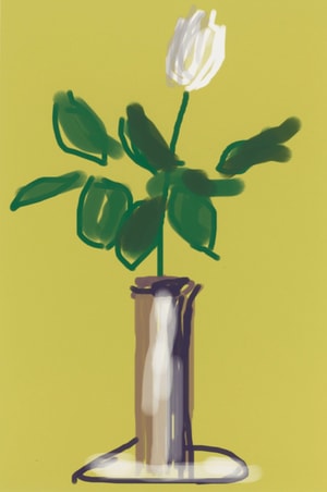 David Hockney - White Rose