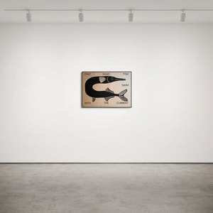 David Schmitt - Only Dead Fish 
