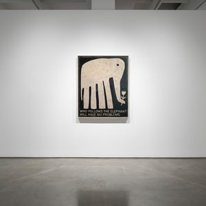 David Schmitt - Who Follows The Elephant