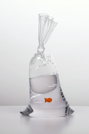 Dylan Martinez - GF 163