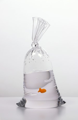 Dylan Martinez - GF 164