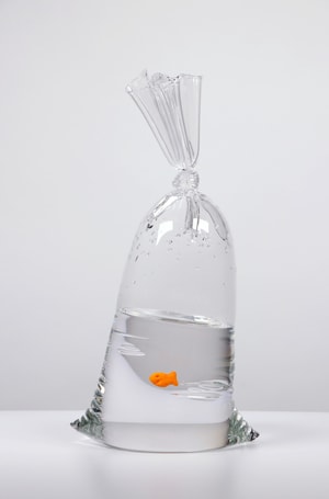 Dylan Martinez - GF 171