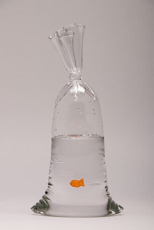 Dylan Martinez - GF 98