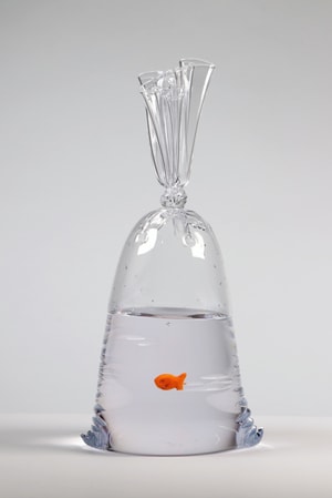 Dylan Martinez - Limited Edition Goldfish Cracker Water Bag (202)