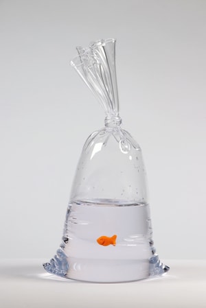 Dylan Martinez - Limited Edition Goldfish Cracker Water Bag (203)