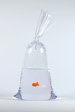 Dylan Martinez - Limited Edition Goldfish Cracker Water Bag (225)