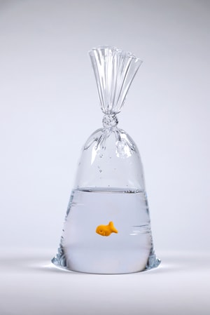 Dylan Martinez - Limited Edition Goldfish Cracker Water Bag (240)-