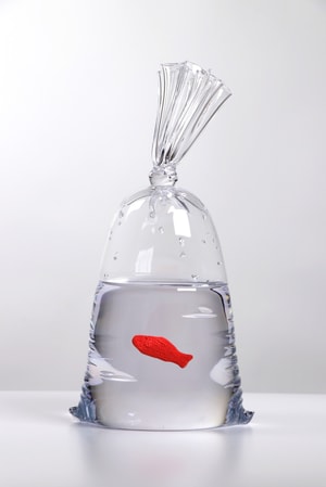 Dylan Martinez - Water Bag: Swedish Fish