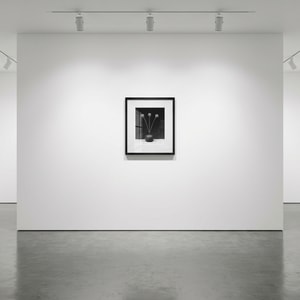 Robert Mapplethorpe - Flower