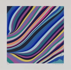 Ian Davenport - Evening