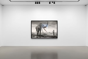 James Lewin - The Boy and the Gentle Giant