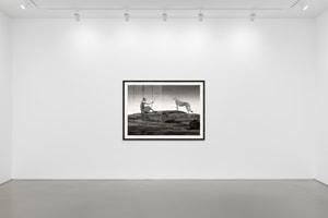 James Lewin - This Land is Our Story