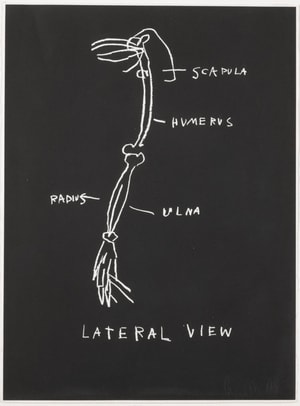 Jean-Michel Basquiat - Lateral View, from Anatomy