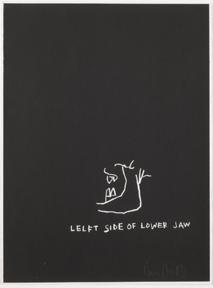 Jean-Michel Basquiat - Left Side of Lower Jaw, from Anatomy