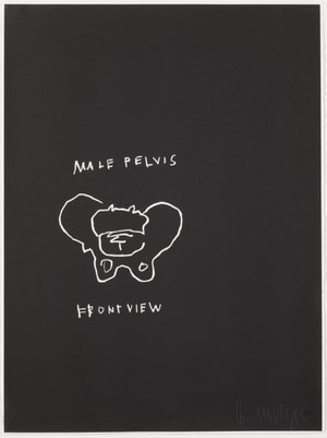 Jean-Michel Basquiat - Male Pelvis, Front View, from Anatomy
