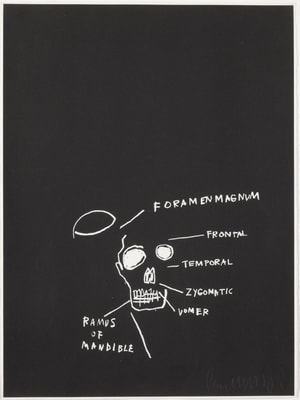 Jean-Michel Basquiat - Ramus of Mandible, from Anatomy