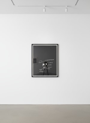 Jean-Michel Basquiat - Ramus of Mandible, from Anatomy