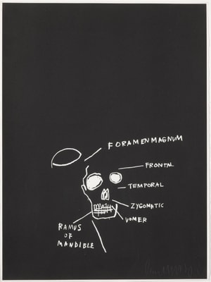 Jean-Michel Basquiat - Ramus of Mandible, from Anatomy