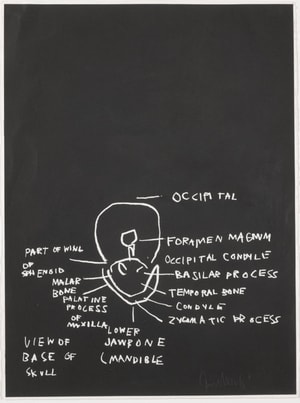 Jean-Michel Basquiat - View of Base of Skull, from Anatomy