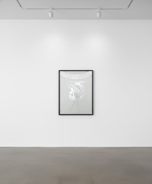 Jeff Koons - Waterfall