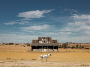 Jeffrey Czum - The Good, The Bad, and The Chic