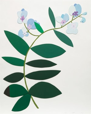 Jonas Wood - 3 Clippings