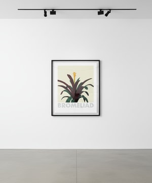 Jonas Wood - Bromeliad