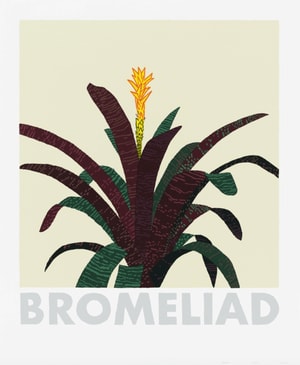 Jonas Wood - Bromeliad