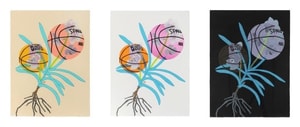 Jonas Wood - Double Basketball Orchid 2 (set of three)