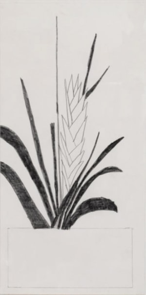 Jonas Wood - Large Bromeliad