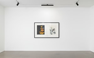 Jonas Wood - Untitled (Orchid Diptych)
