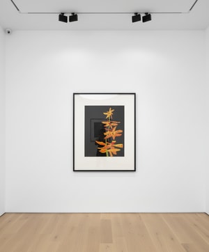 Jonas Wood - Untitled (Orchid II)