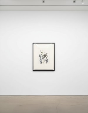 Jonas Wood - Untitled (Orchid)