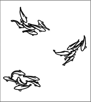 Julian Opie - Carp 2 , Carp 1 , Carp 3 , from Nature Set