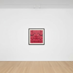 KAWS - WHAT PARTY (Strawberry Red)