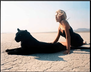 Michel Comte - Beauty and the Beast