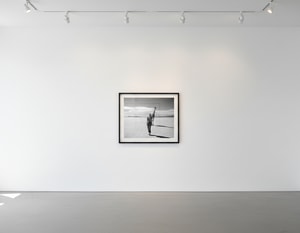 Michel Comte - Beauty and the Beast (Giraffe)