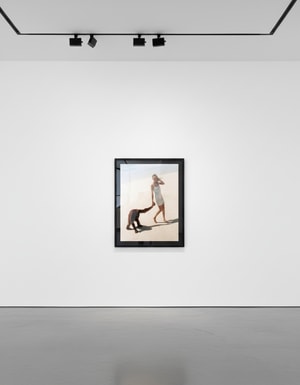 Michel Comte - Beauty and the Beast (Orangutan III)