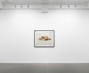 Michel Comte - Beauty and the Beast (Snake)