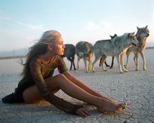 Michel Comte - Beauty and the Beast (Wolves II)