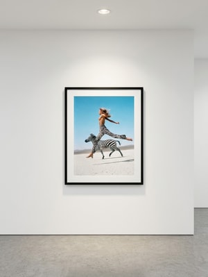 Michel Comte - Beauty and the Beast (Zebra II)