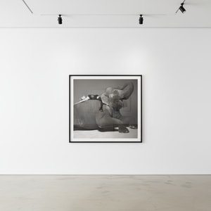 Michel Comte - Daryl Hannah