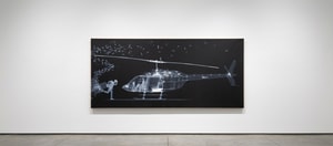 Nick Veasey - The Fly Away