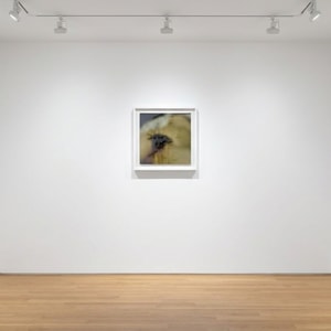 Punkmetender - Before the Gaze (The Origin of the World) 