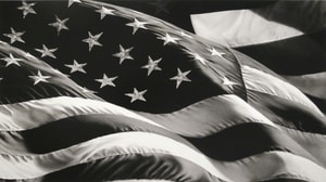 Robert Longo - Untitled (Flag)