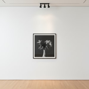 Robert Mapplethorpe - Lilies