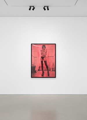 Russell Young - Kate Moss in Mars Pink