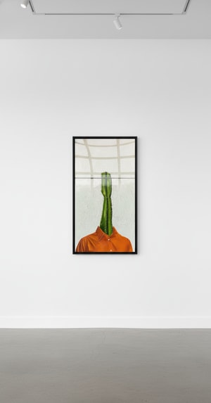 Sage Barnes - Room to Grow