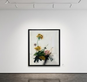 Sage Barnes - Study #1